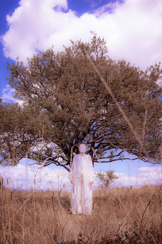 Euphoria - Character